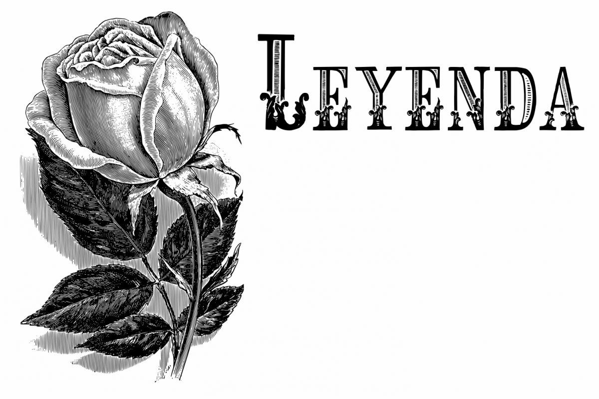 Leyenda example image 1