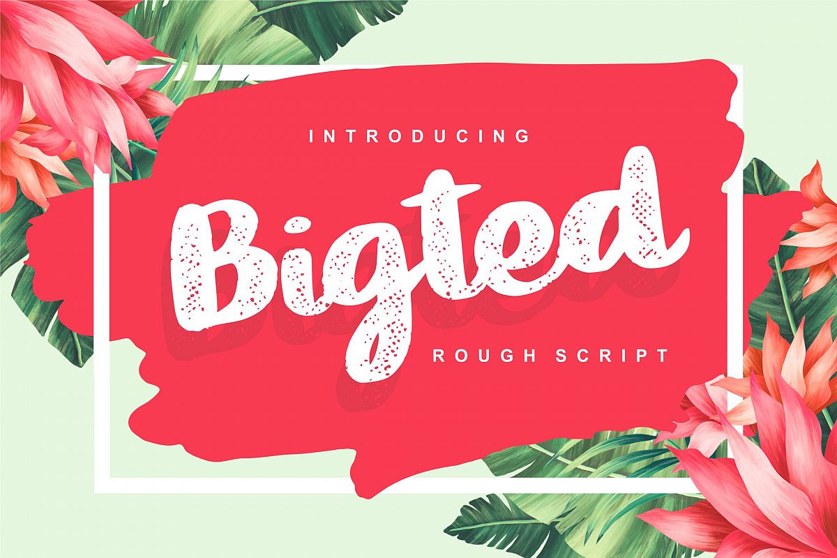 Bigted | Rough Script Font example image 1