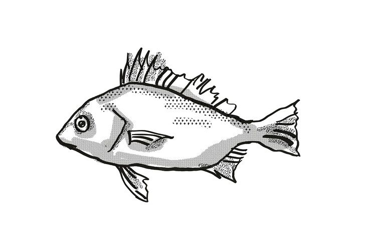 Silver Javelin Australian Fish Cartoon Retro Drawing example image 1