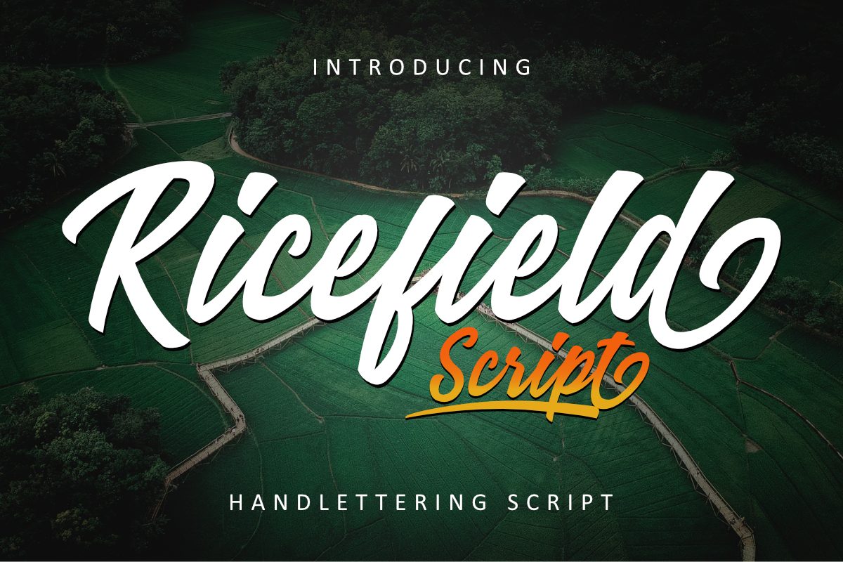 Ricefield Script example image 1