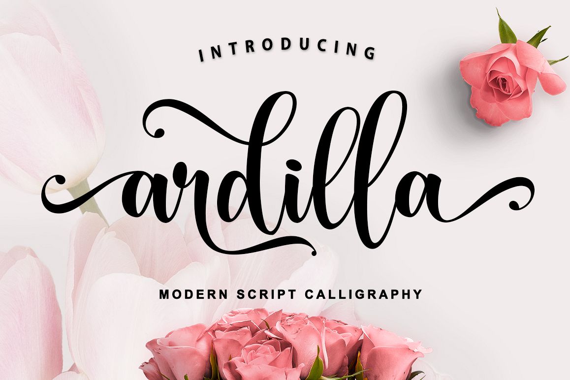 Ardilla example image 1