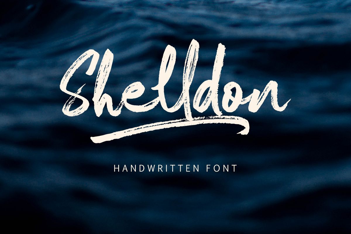 Shelldon Font example image 1