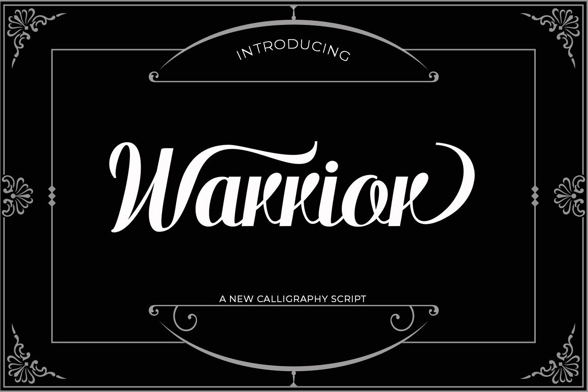 Warrior Script example image 1