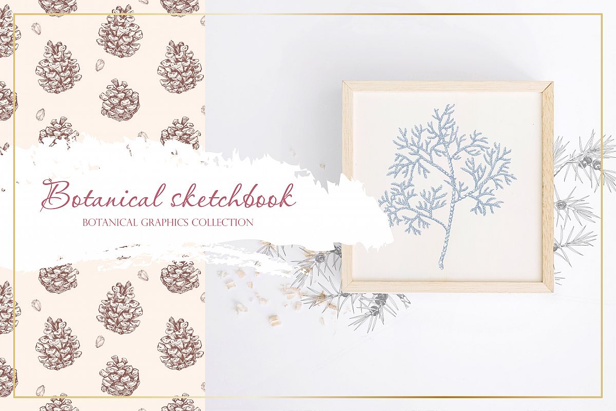 Botanical sketchbook. Vol.1 example image 1