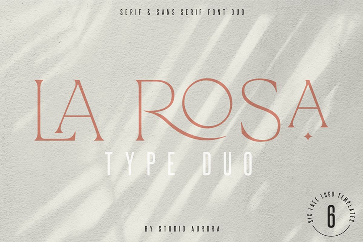 La Rosa Elegant Unique Serif Font example image 1