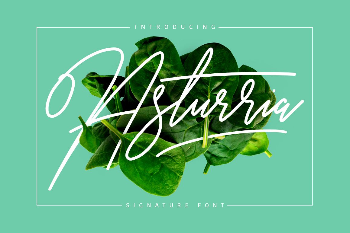 Asturria Signature example image 1