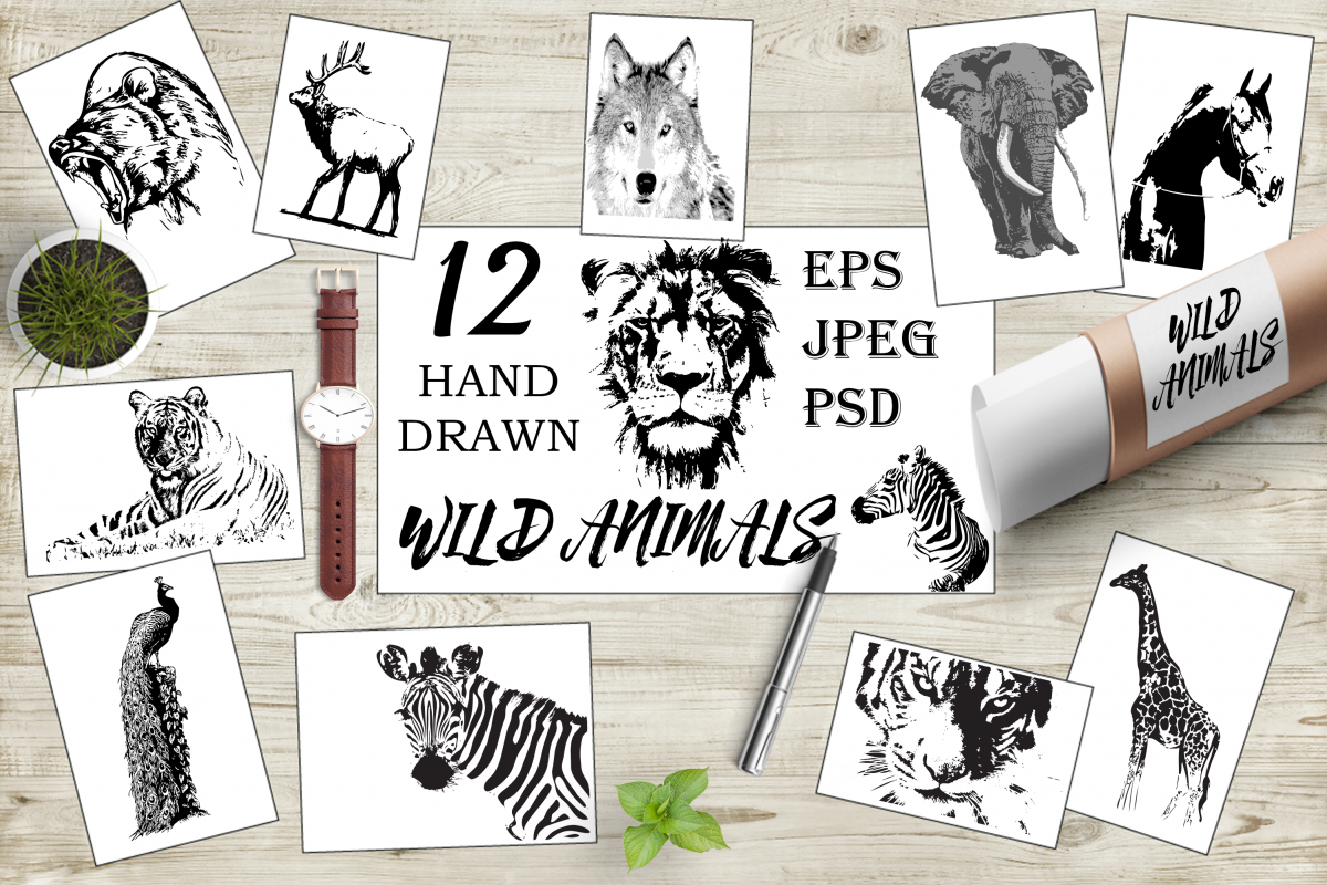 Hand-drawn wild animals example image 1