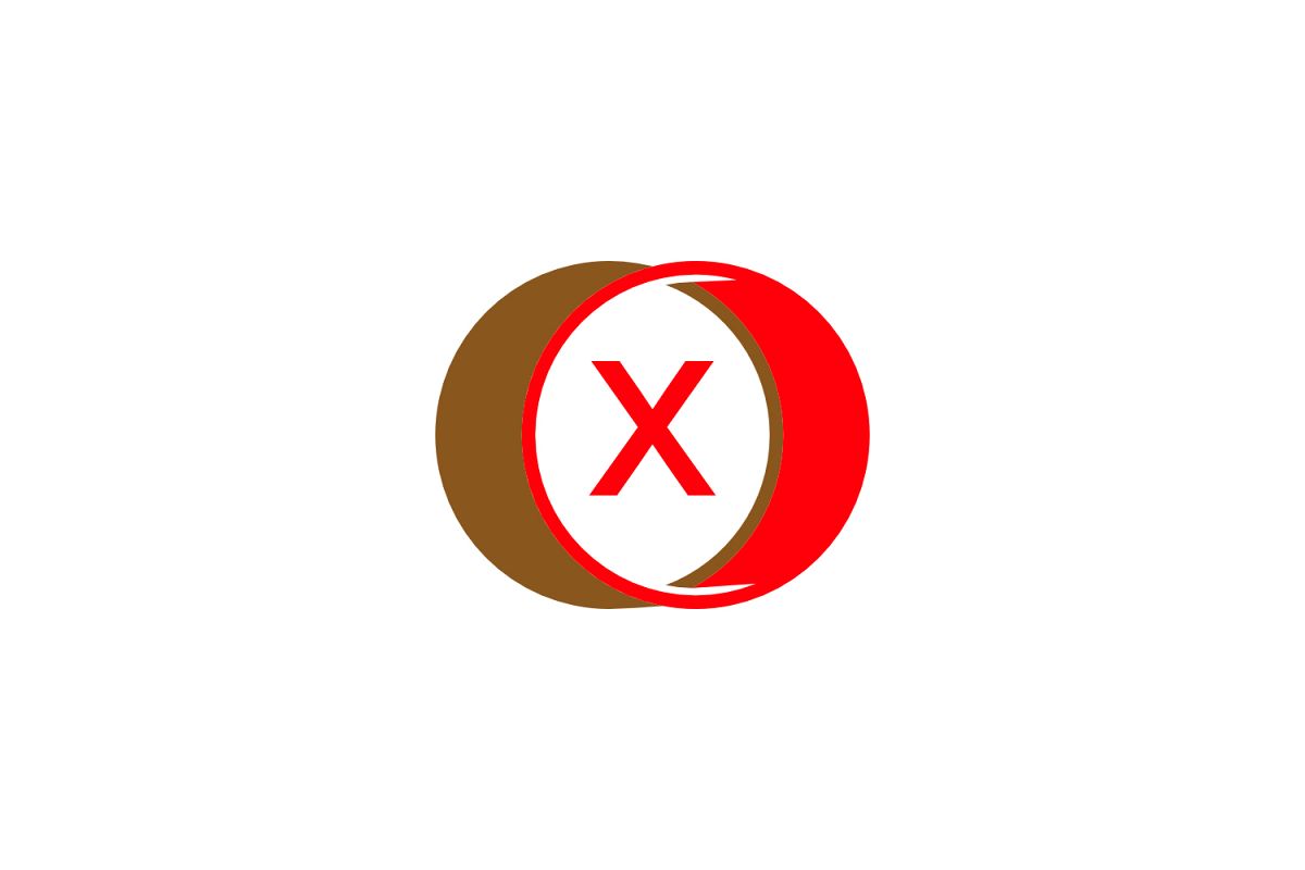 x letter circle logo example image 1