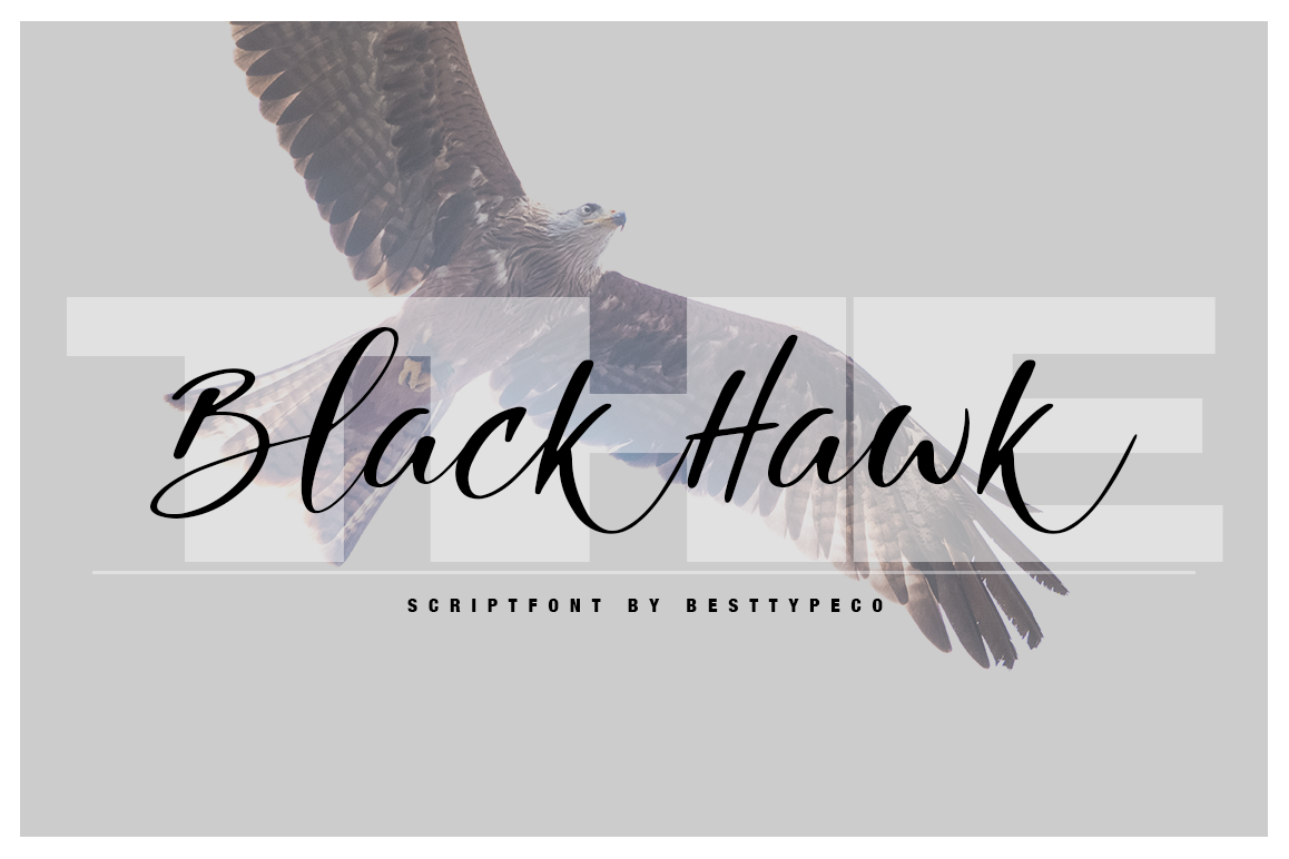 The Black Hawk example image 1
