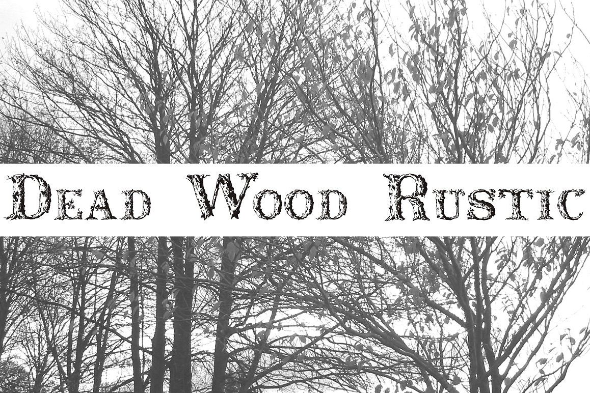 Dead Wood Rustic example image 1