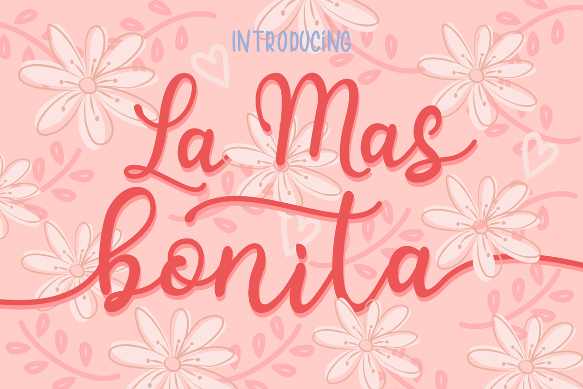 La Mas Bonita example image 1