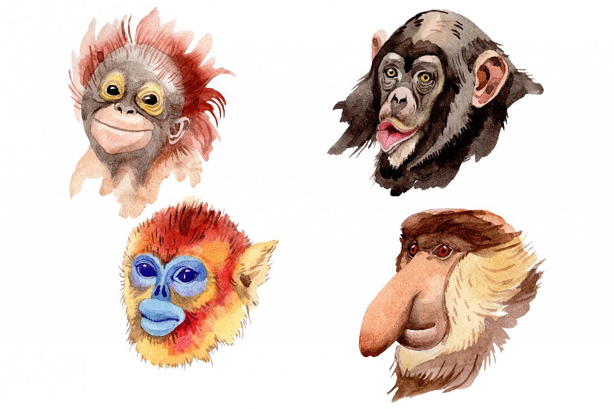 Primates Watercolor png example image 1