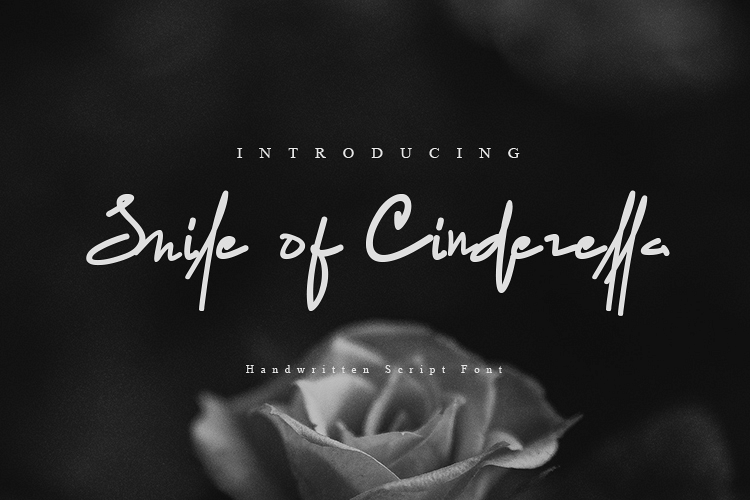 Smile of Cinderella example image 1