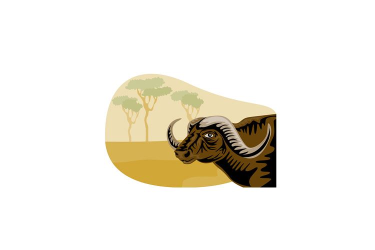 African Buffalo Retro example image 1