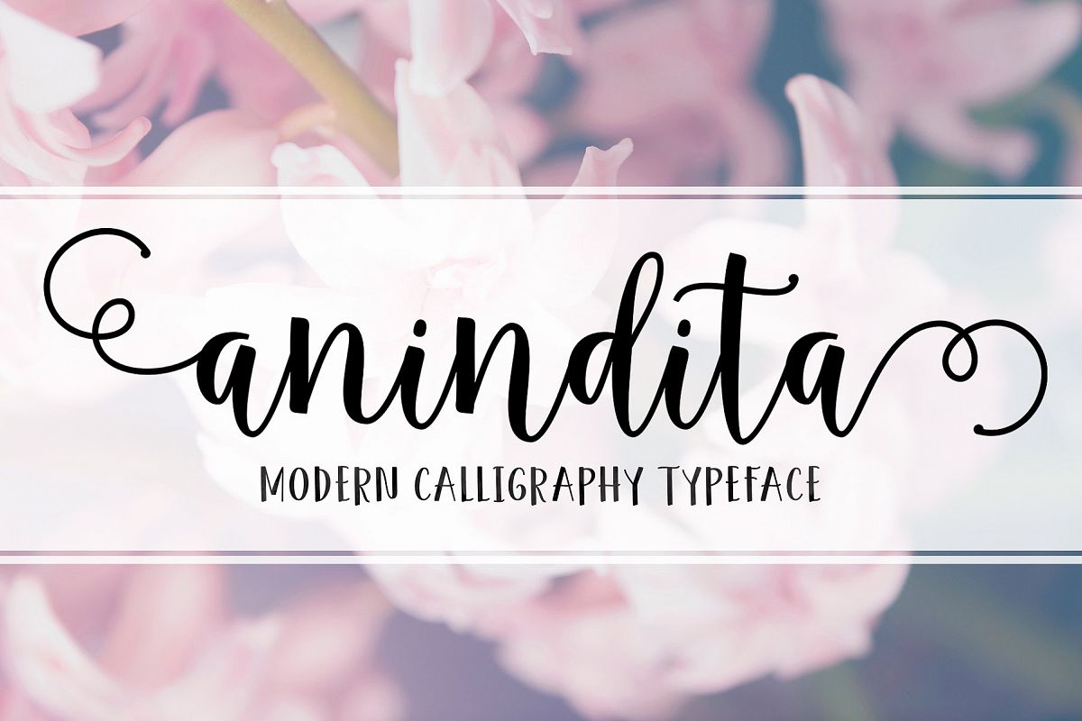 Anindita Script example image 1
