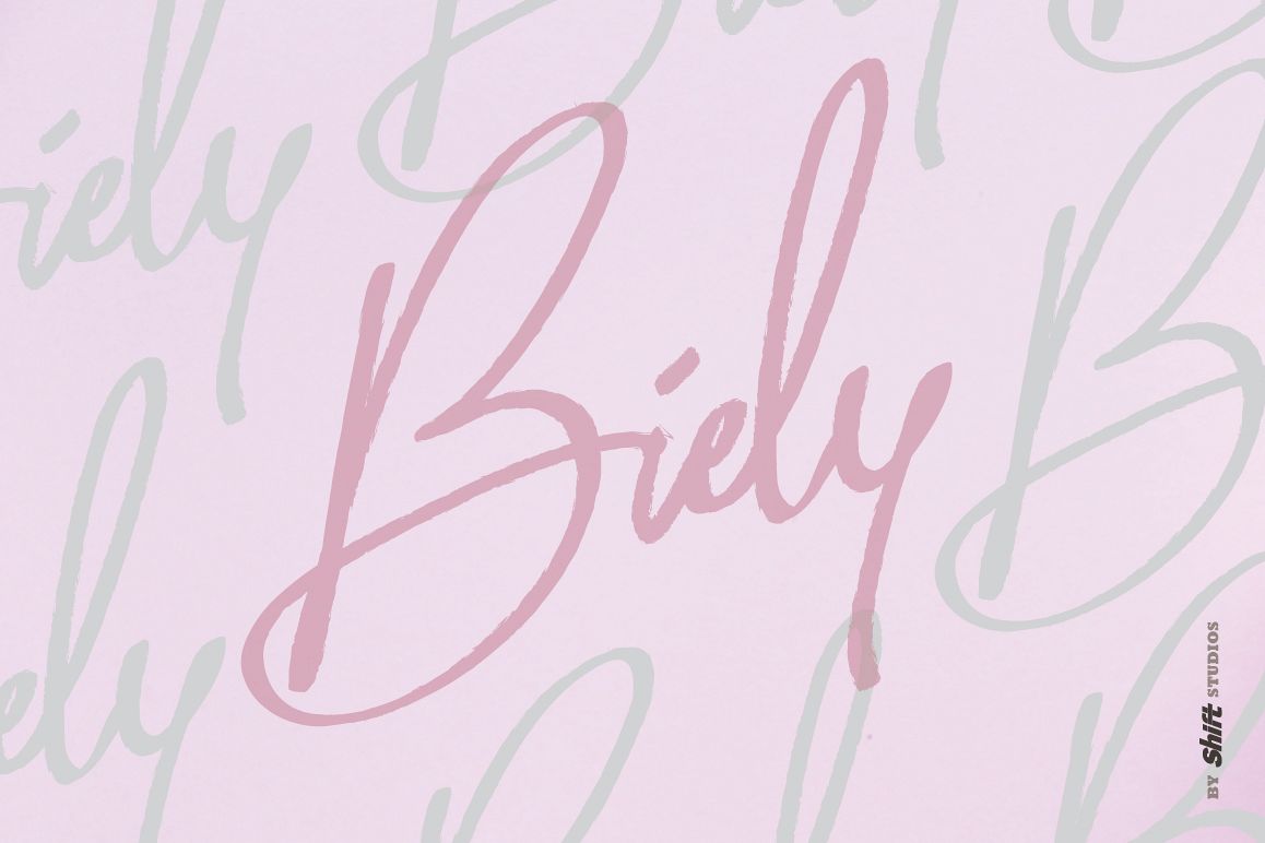 Biely Typeface example image 1