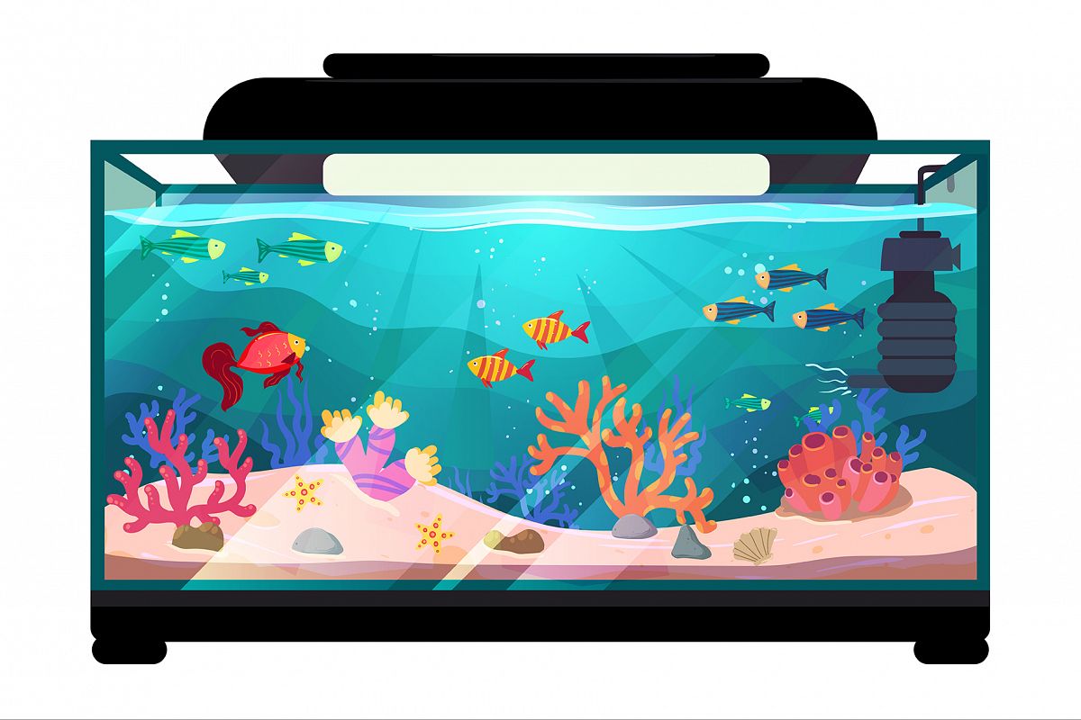 Aquarium illustration example image 1