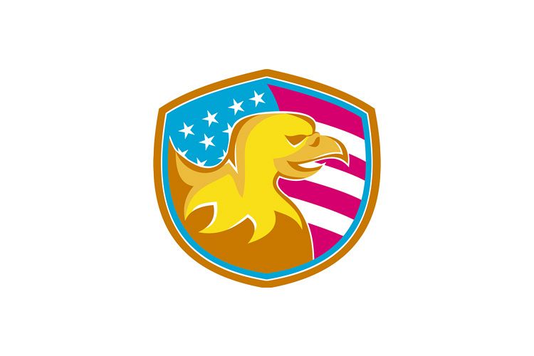 Bald Eagle With American Stars and Stripes example image 1