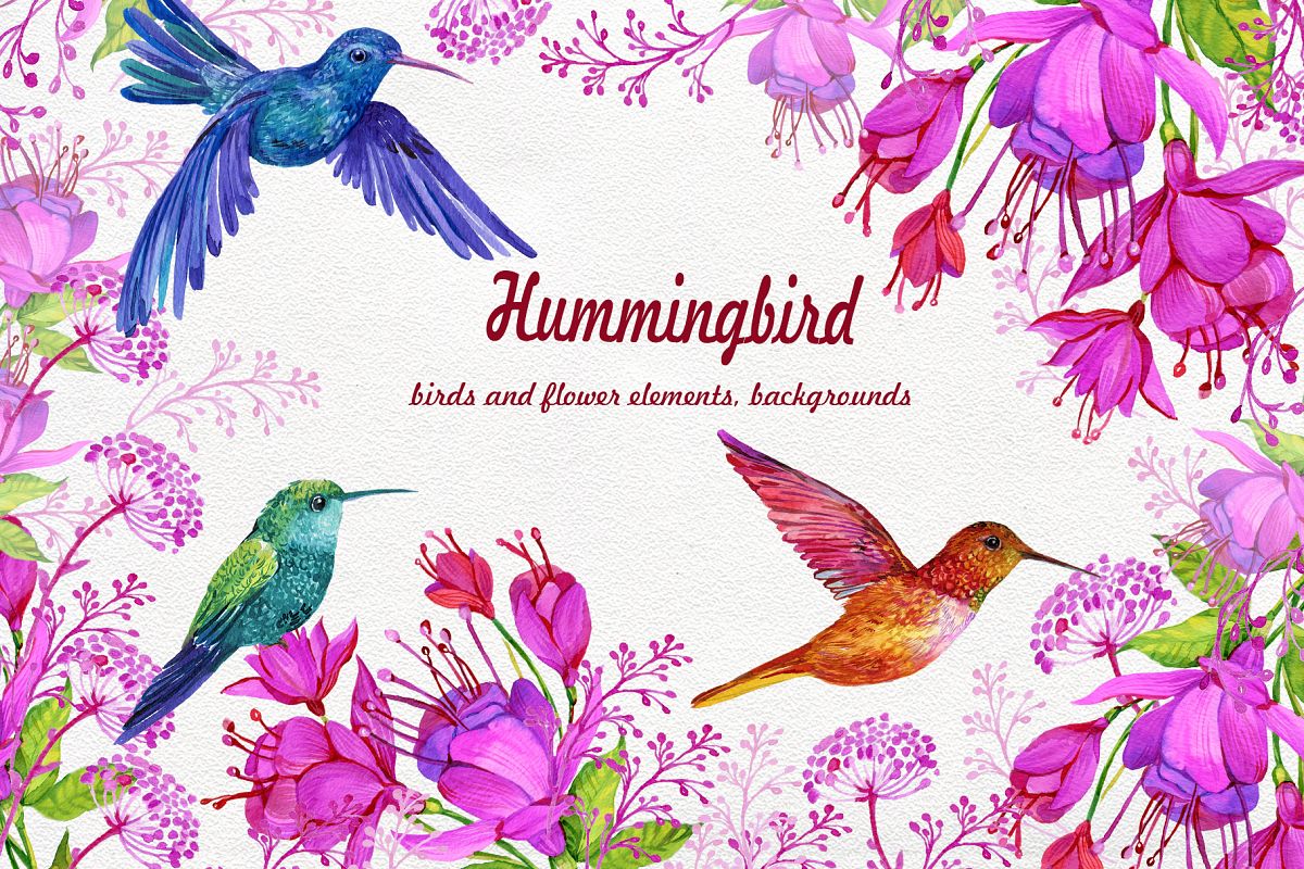 Download Hummingbirds Clipart flowers. PNG watercolor painting, Birds
