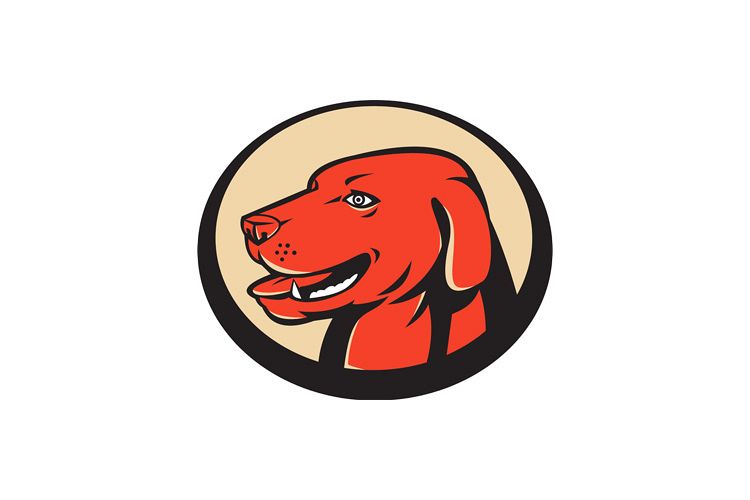 labrador golden retriever dog head example image 1