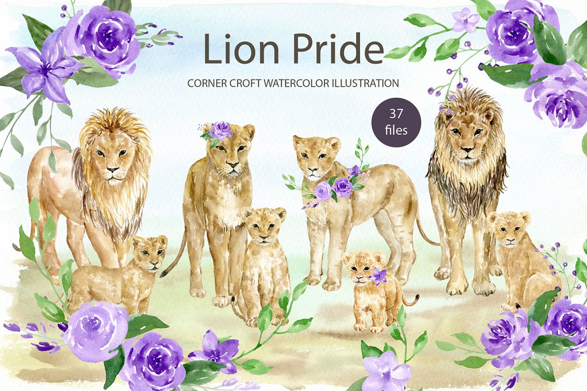 Watercolor clipart lion pride for instant download example image 1