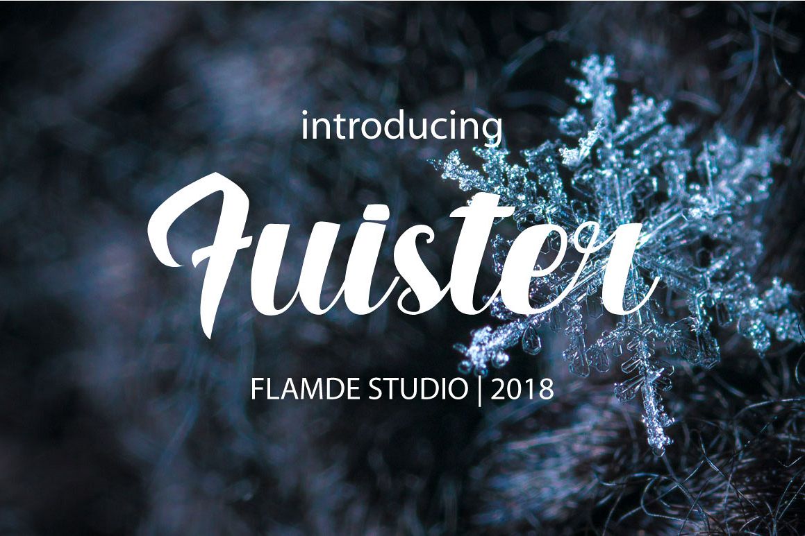 Fuister Script example image 1