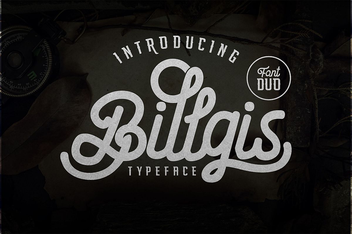Billgis Font Duo example image 1