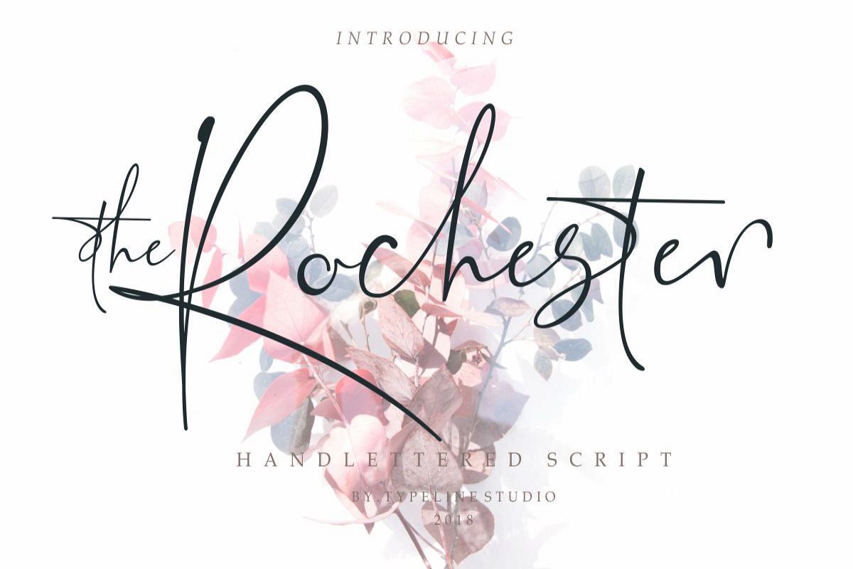 the Rochester // Beautiful Signature example image 1