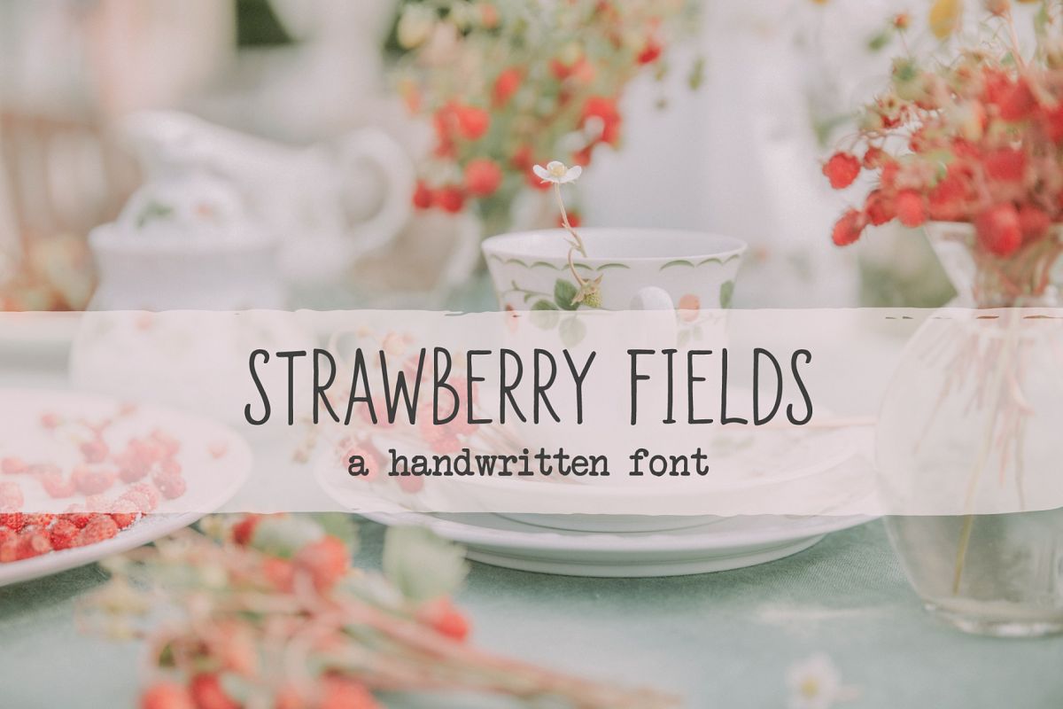 Strawberry Fields Script example image 1