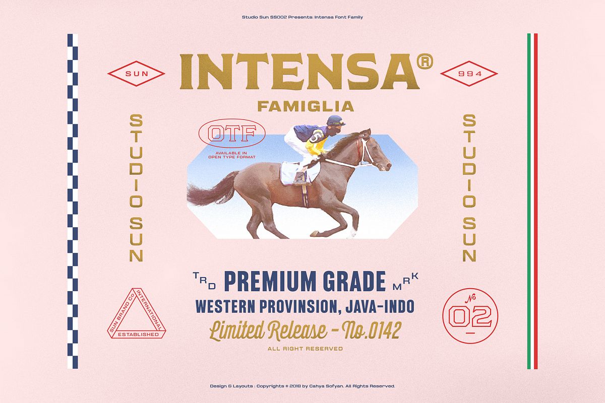 Intensa Font Family example image 1