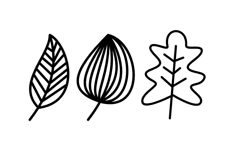 Leaf Image Vector example image 1