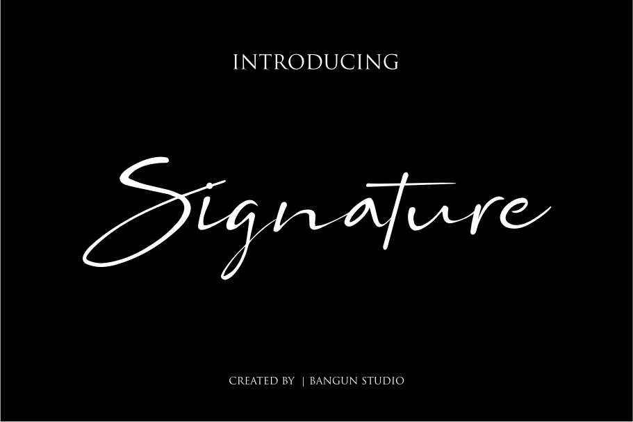 BS SIgnature example image 1