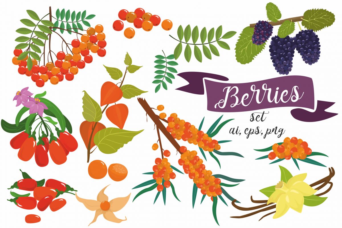 Superfoods. Berries. Patterns. example image 1