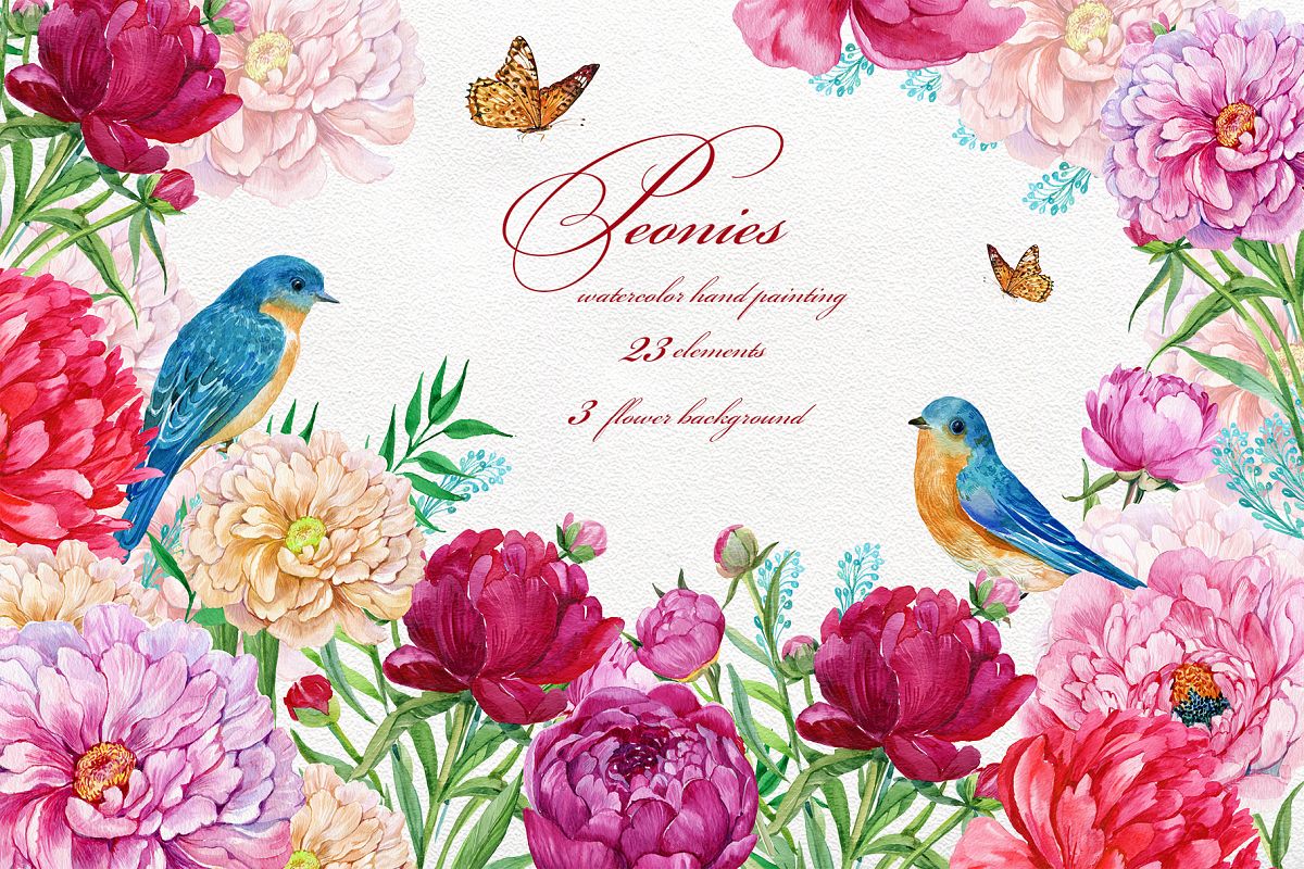 Peonies Flowers Watercolor.Wedding Clipart.Hand Painted. example image 1