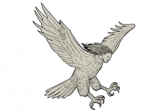 Harpy Swooping Drawing example image 1