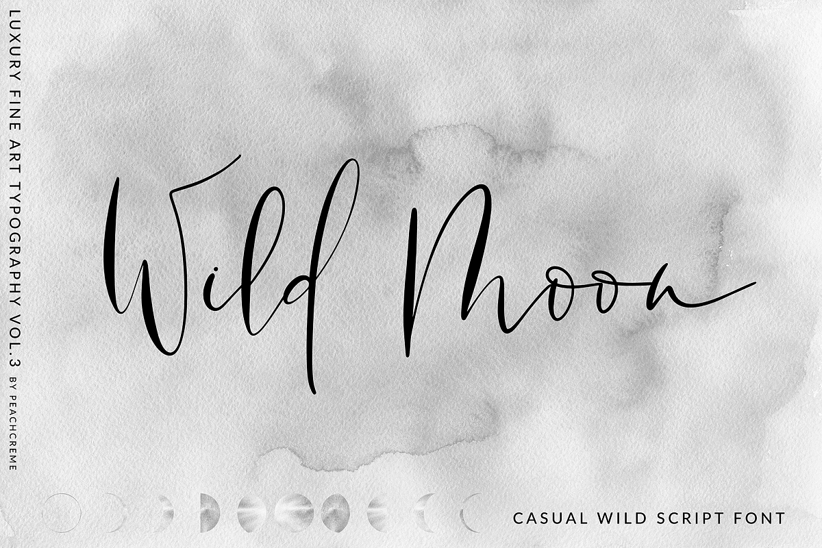 Wild Moon - Casual Script Font example image 1