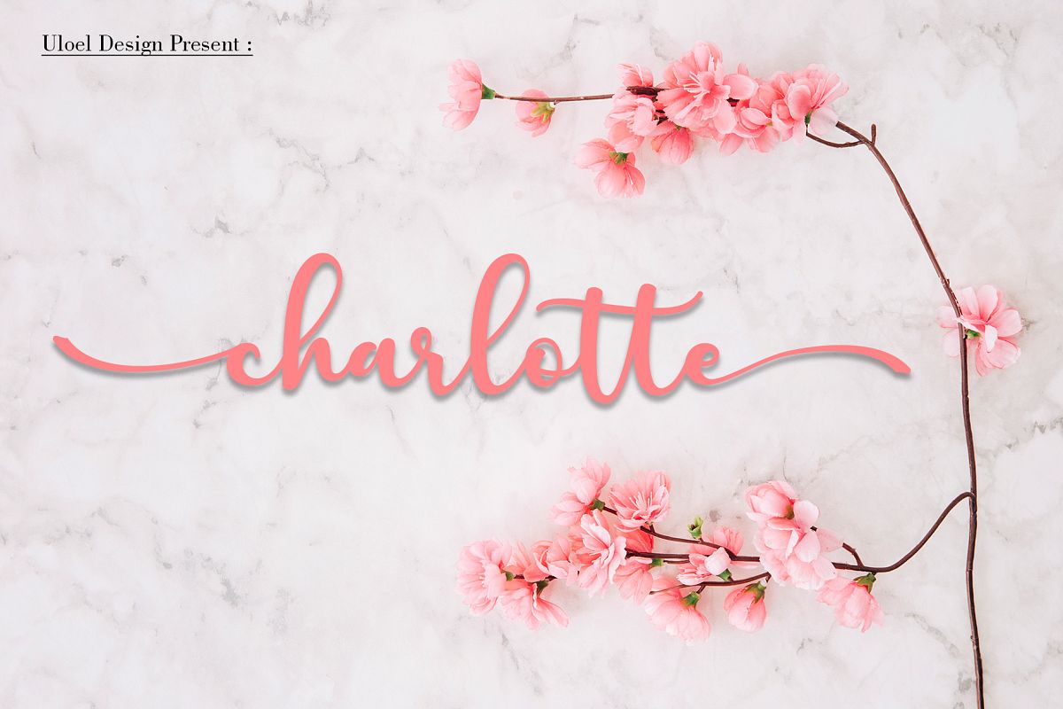 Charlotte example image 1