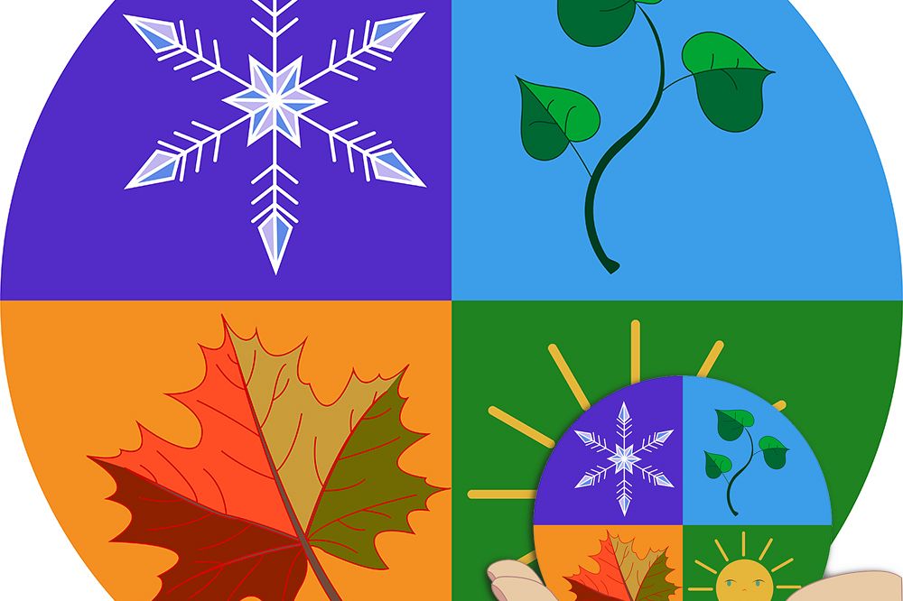 Patterns. Planet as in the palm of your hand. 4 seasons. example image 1