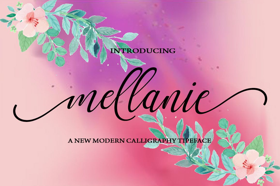 mellanie example image 1