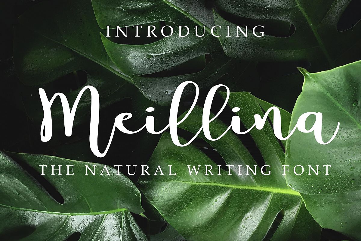Meillina Natural Font example image 1