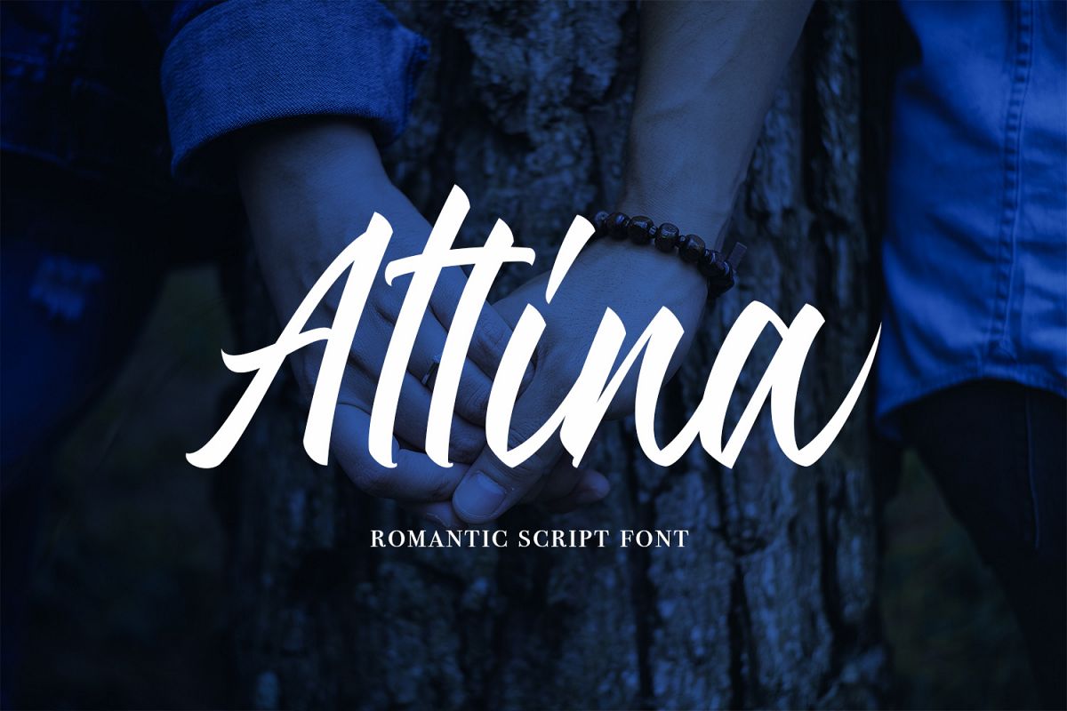 Attina example image 1