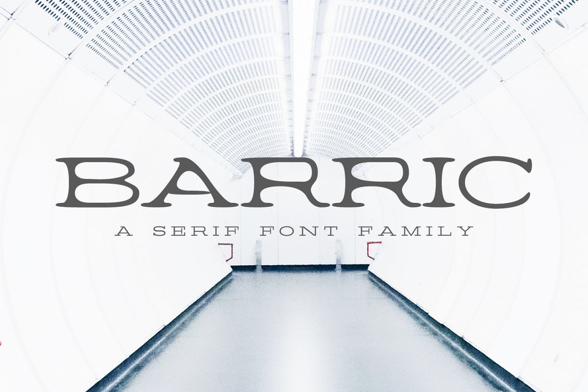 Barric A Serif Font Family example image 1