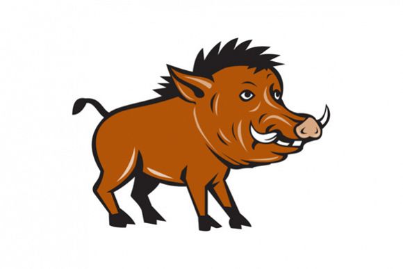Razorback Side Cartoon example image 1