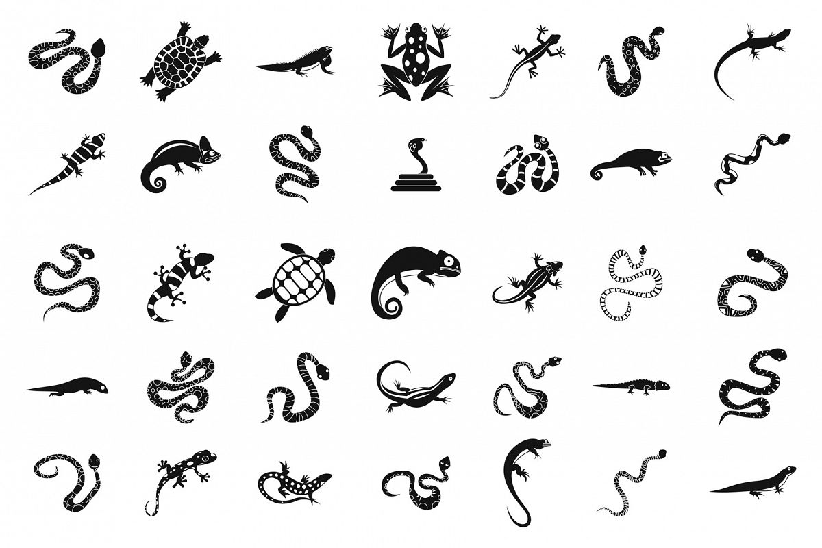 Reptile icon set, simple style example image 1