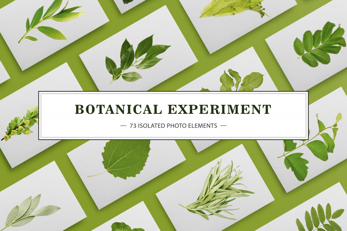 BOTANICAL EXPERIMENT example image 1