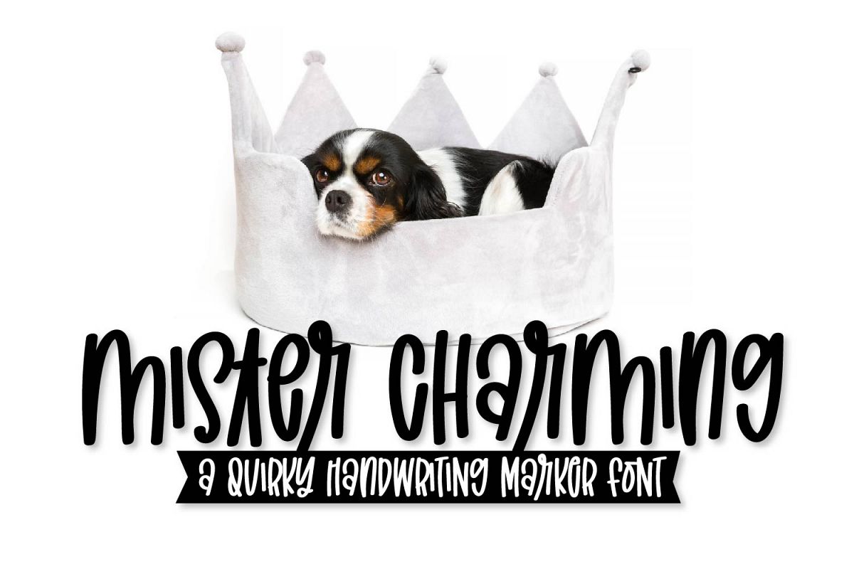 Mister Charming - A Quirky Marker Font! example image 1