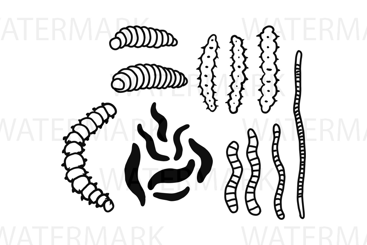 Download Worms - SVG/JPG/PNG Hand Drawing (63776) | Illustrations | Design Bundles