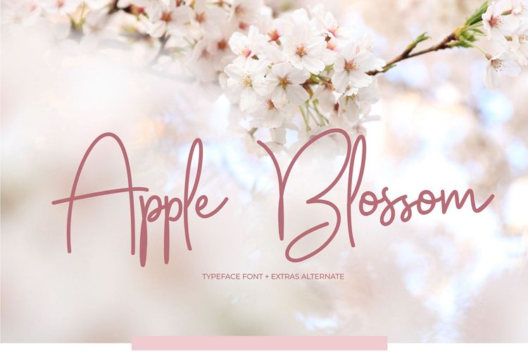 Apple Blossom Font example image 1
