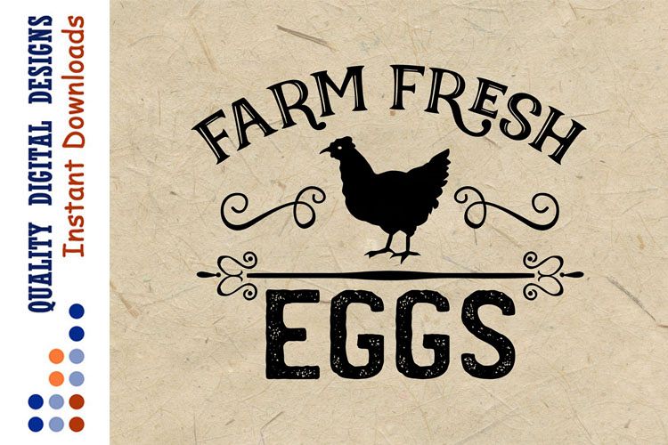 Farm Fresh Eggs SVG Chicken SVG Kitchen example image 1
