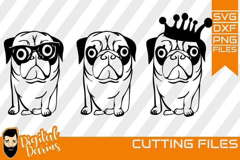 3x Funny bulldog svg, Dog in crown svg, Glasses, Puppy, Dog example image 1
